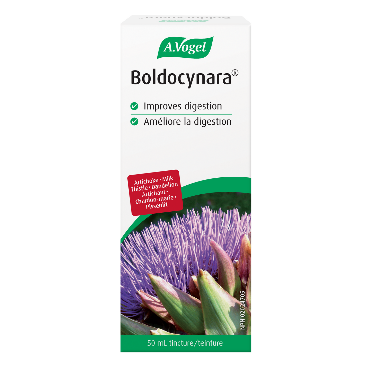 Vogel Boldocynara