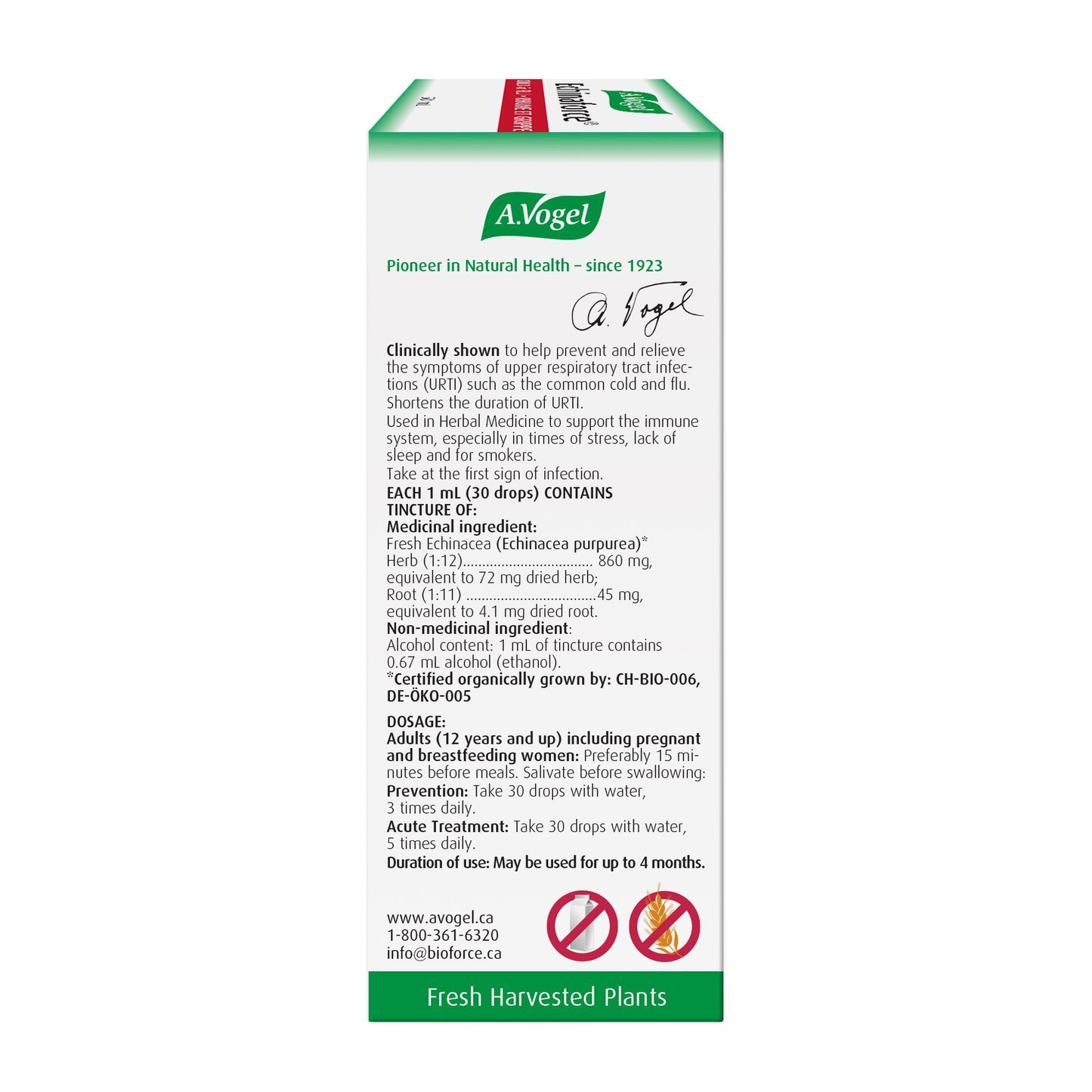 Vogel Echinaforce Liquid