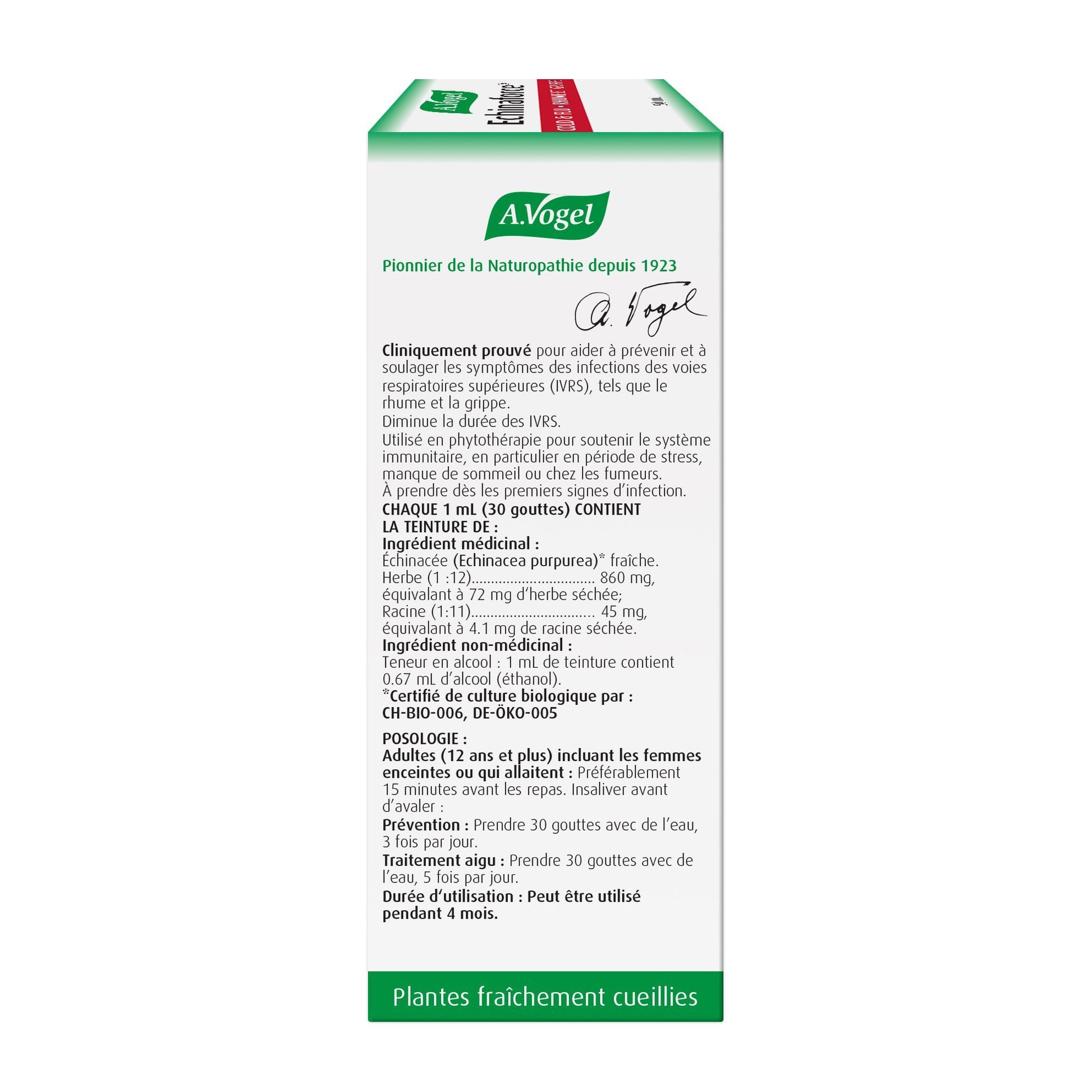 Vogel Echinaforce Liquid