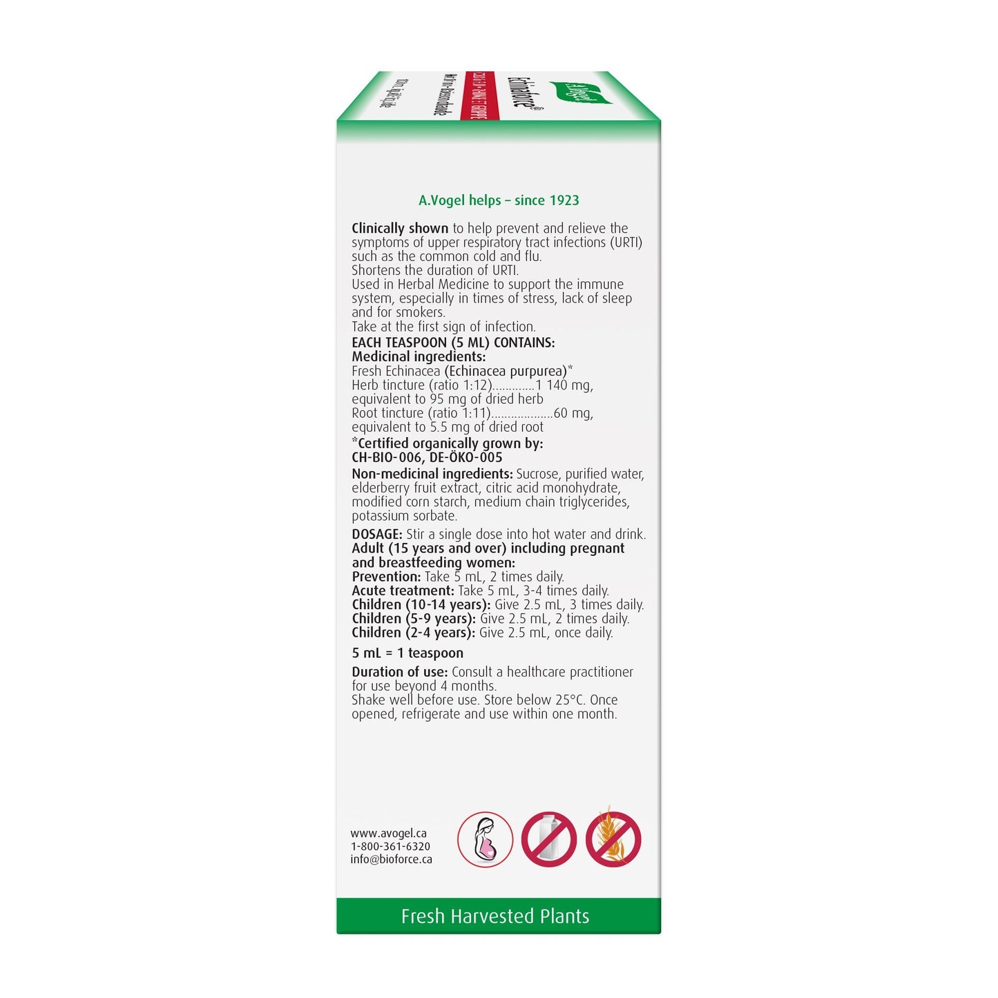 Vogel Echinaforce Hot Drink with Elderberry