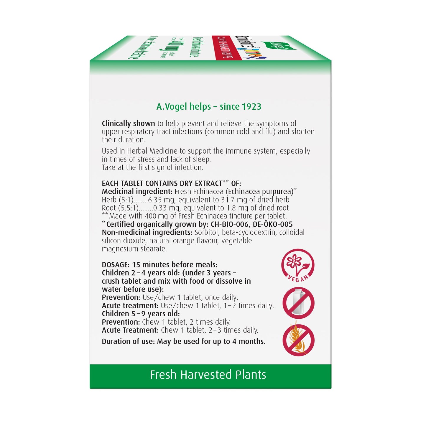 Vogel Echinaforce Junior Tablets