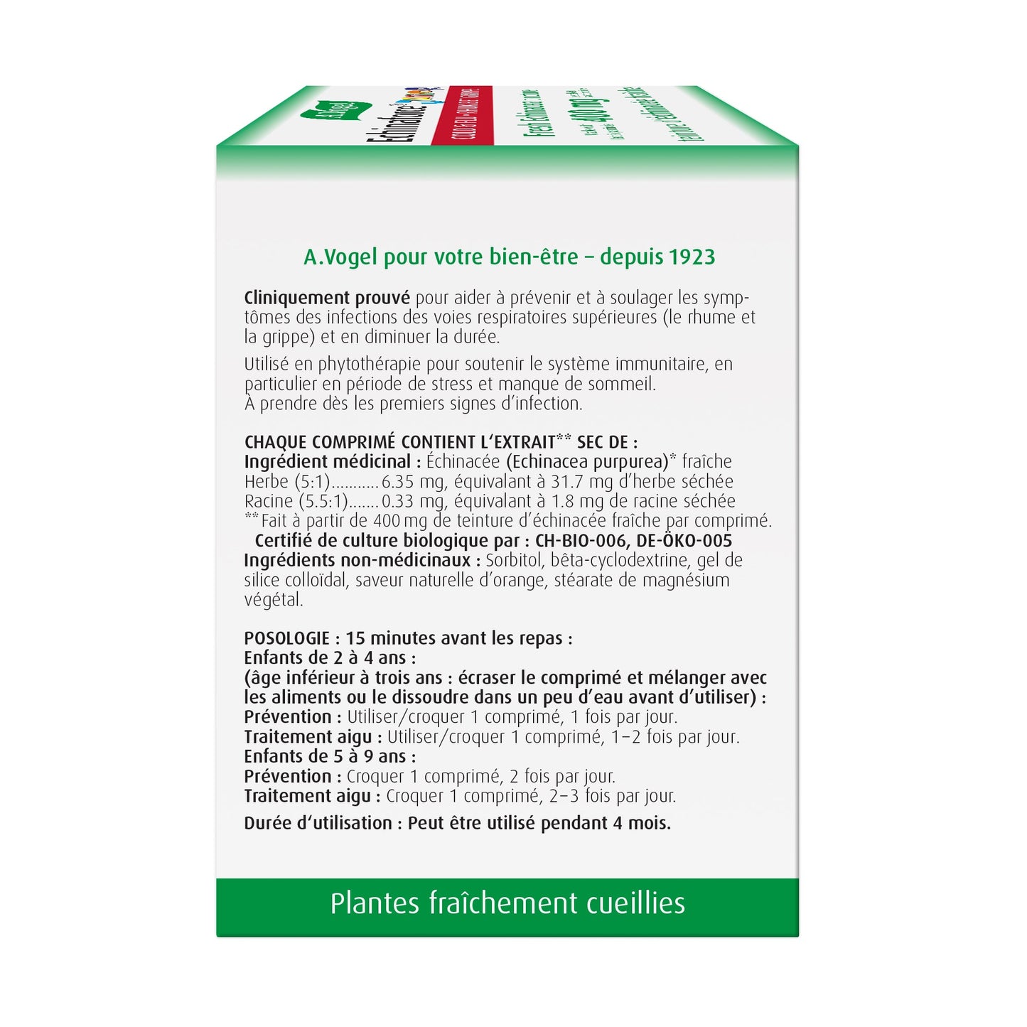 Vogel Echinaforce Junior Tablets