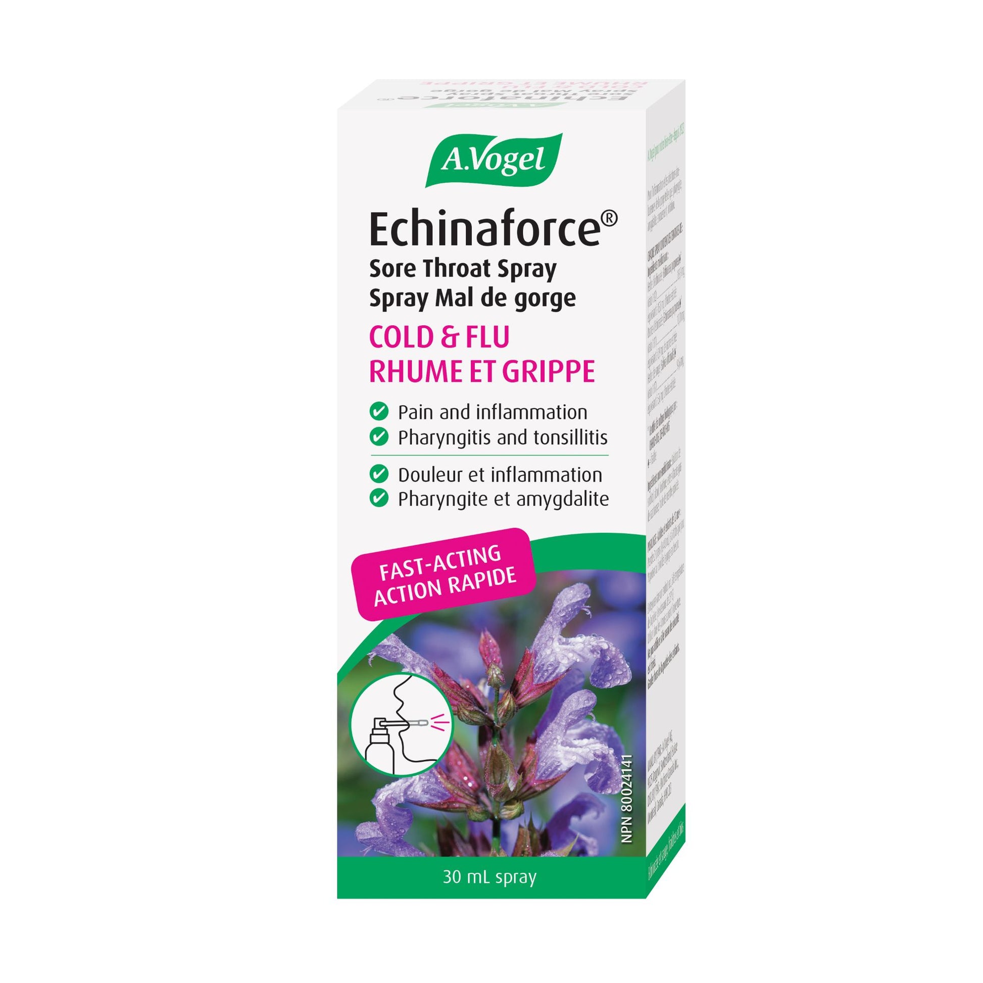 Vogel Echinaforce Sore Throat Spray