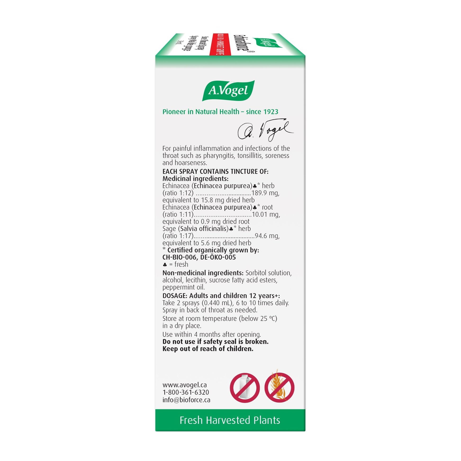 Vogel Echinaforce Sore Throat Spray