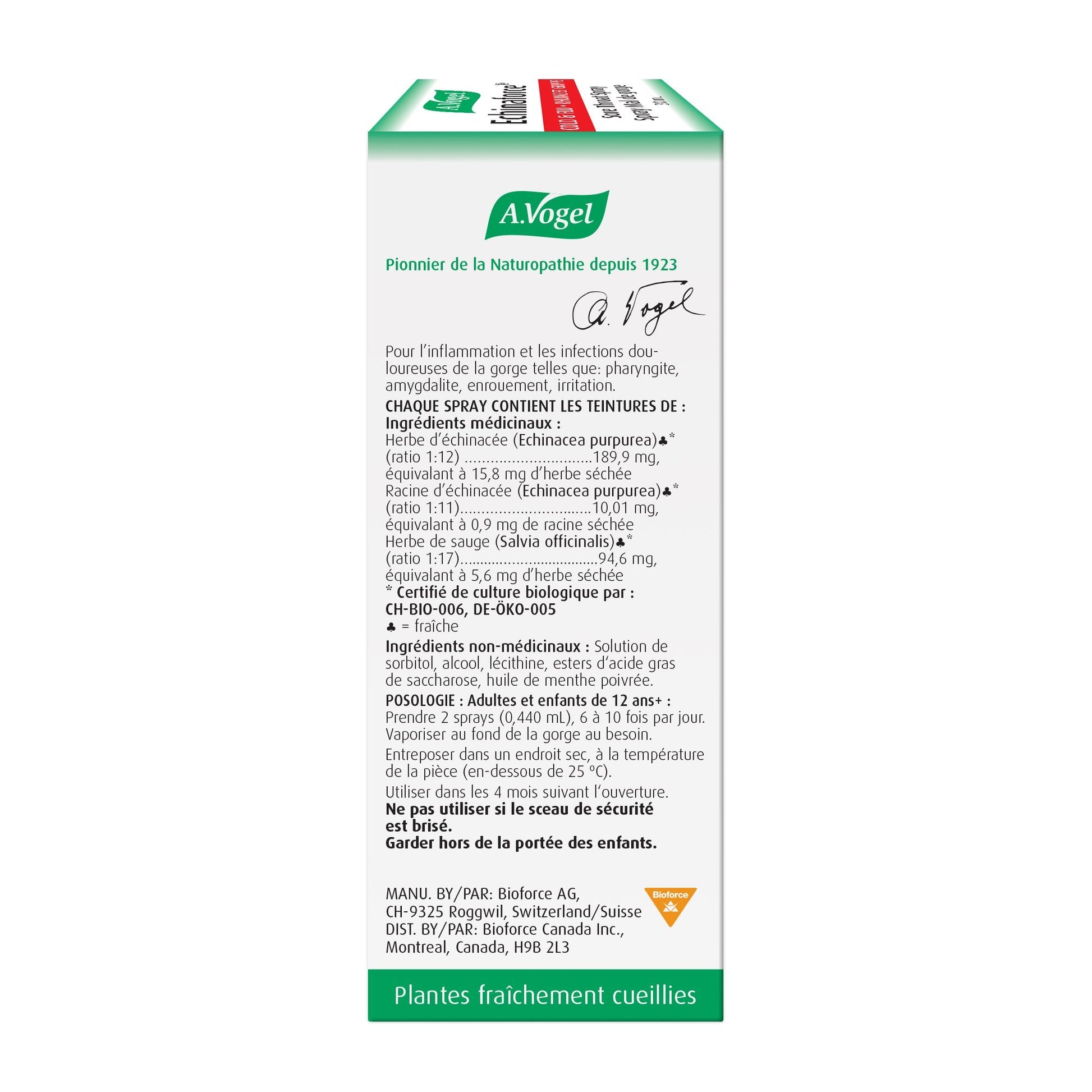 Vogel Echinaforce Sore Throat Spray