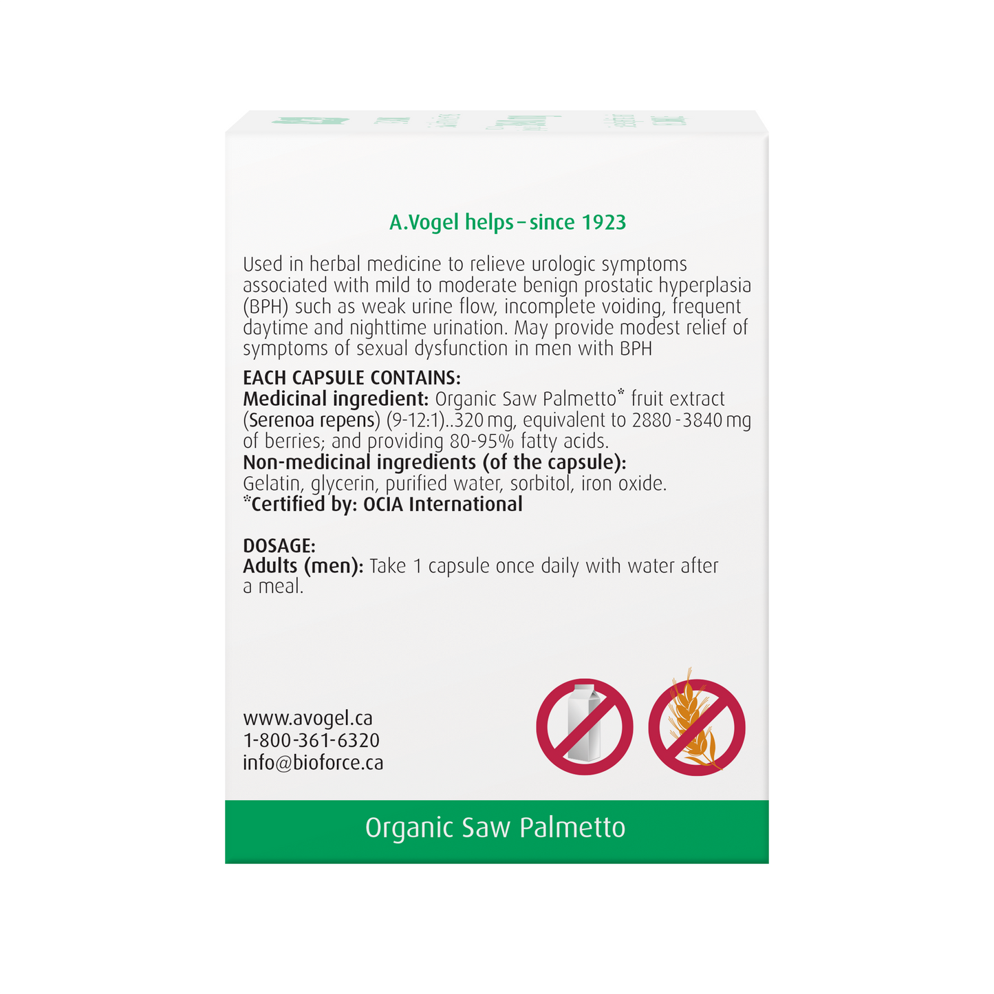 Vogel Prostate 1