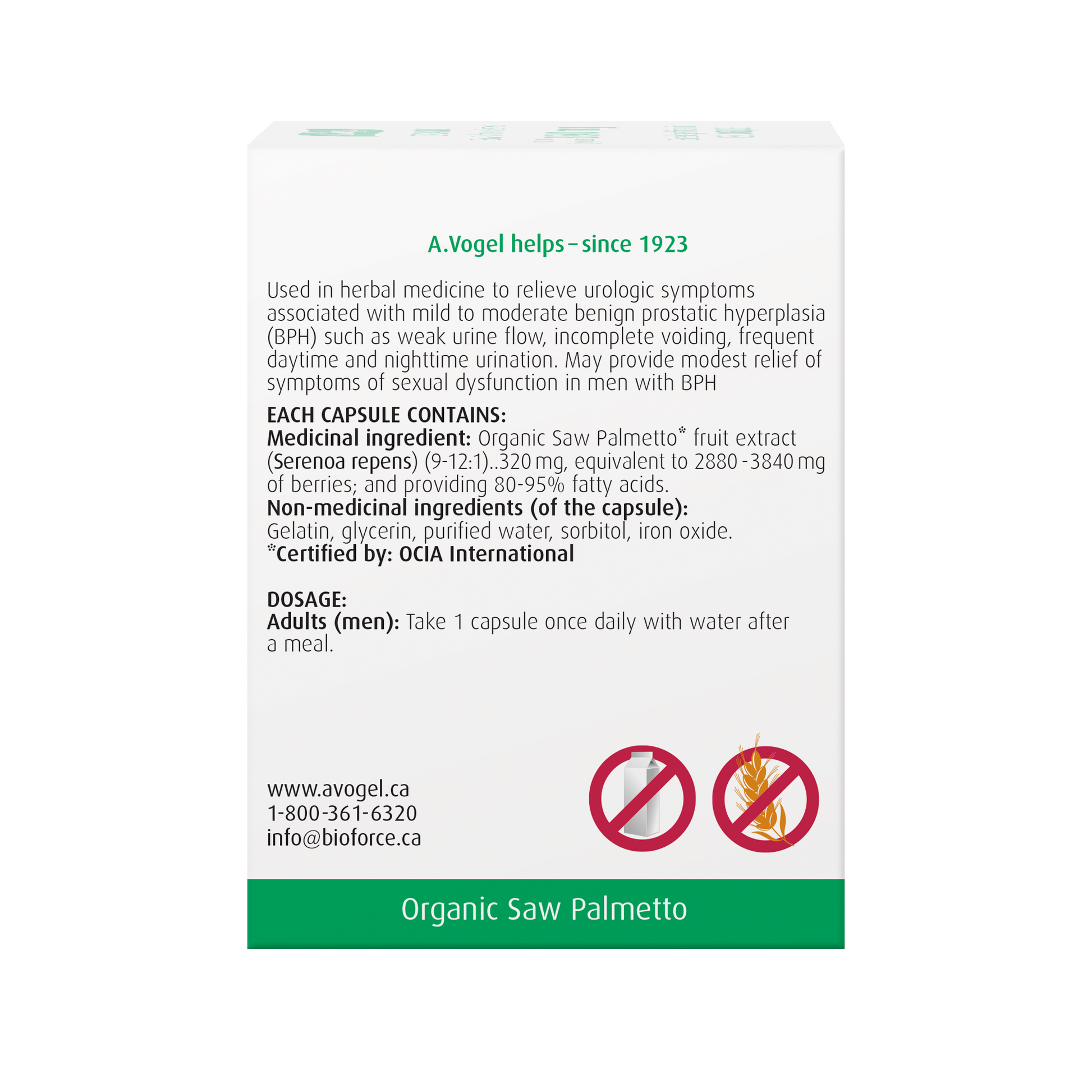 Vogel Prostate 1