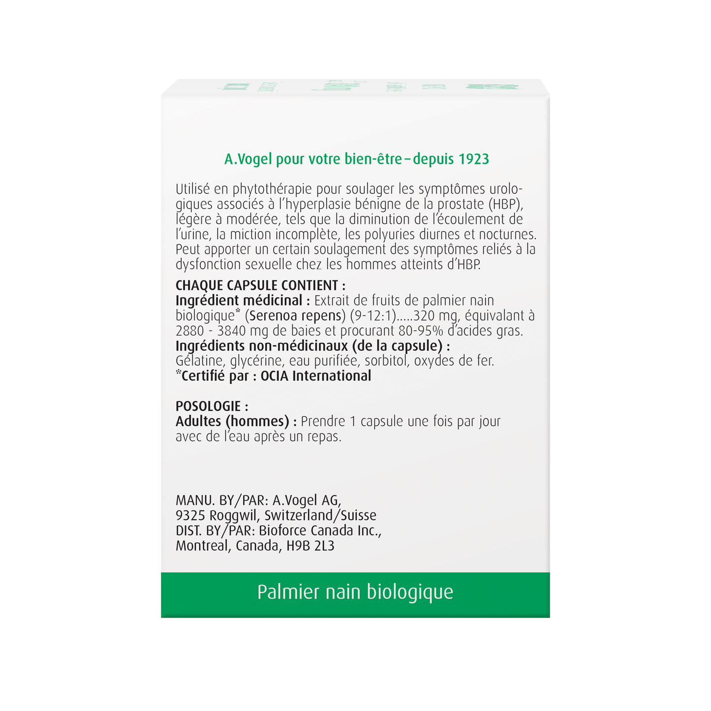 Vogel Prostate 1