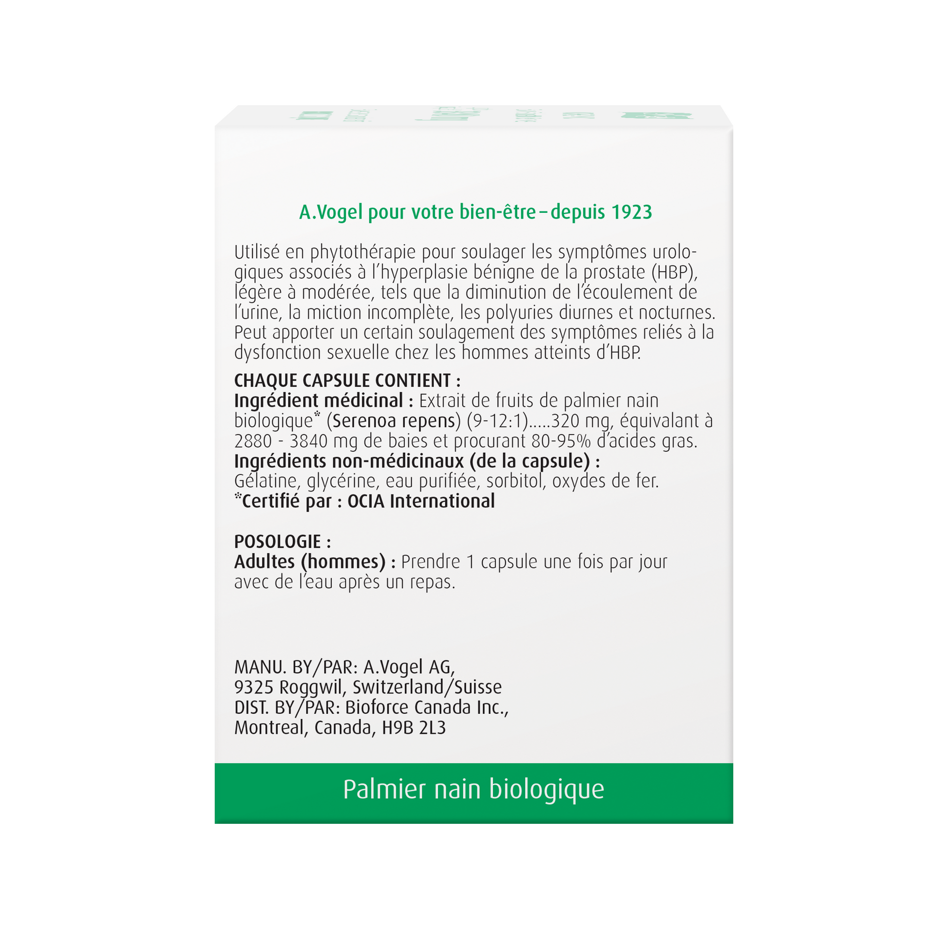 Vogel Prostate 1