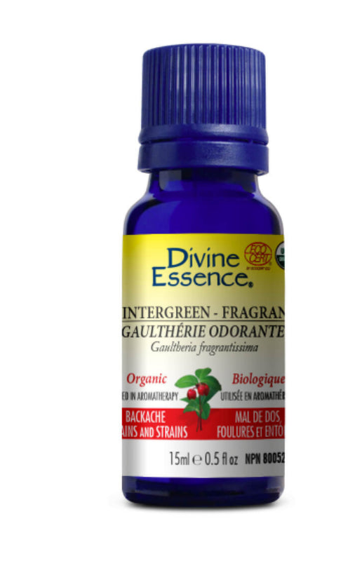 Divine Essence Organic Wintergreen - Fragrant Essential Oil