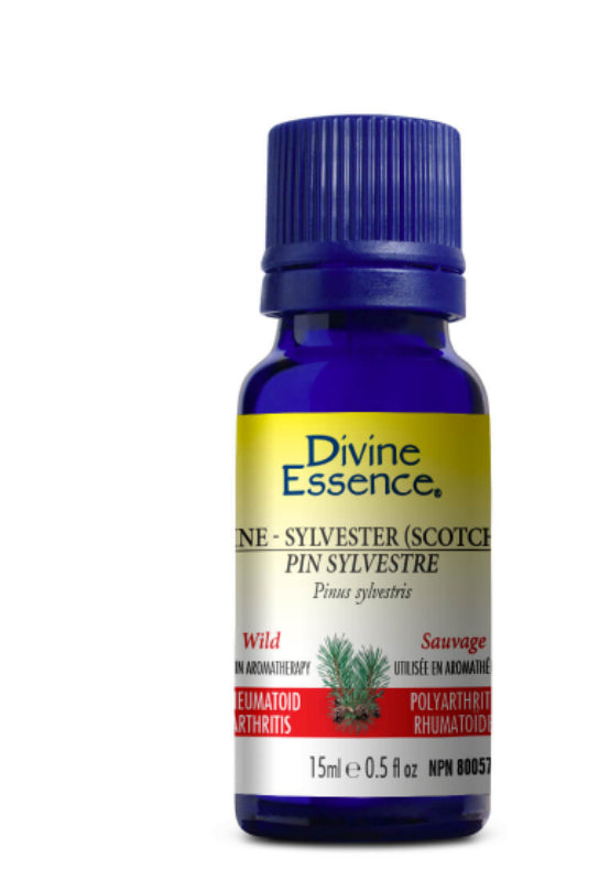 Divine Essence Wild Pine - Sylvester (Scotch) Essential Oil