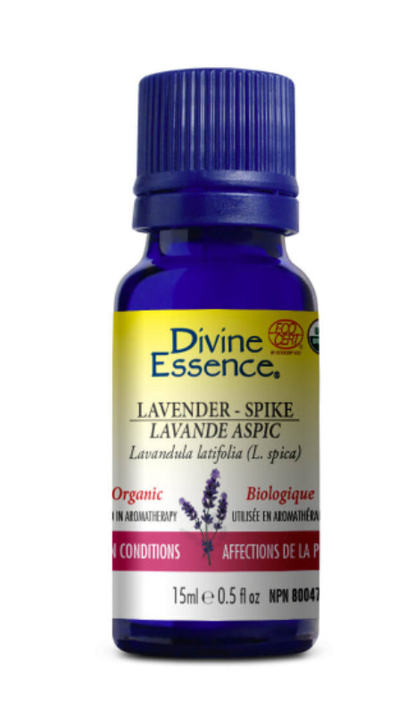 Divine Essence Organic Lavender - Spike Essential Oil