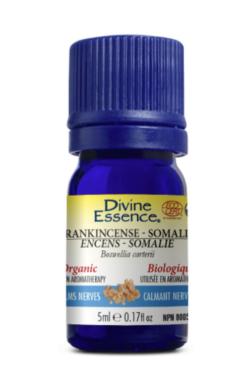 Divine Essence Frankincense B. Carterii Essential Oil