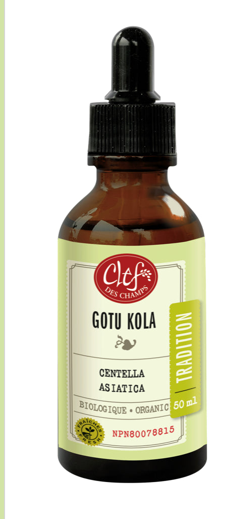 Clef Des Champs Organic GOTU KOLA Tincture