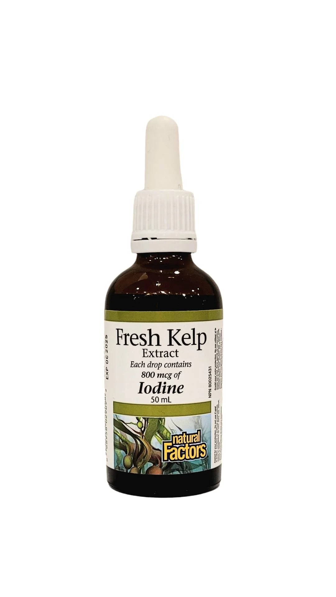 Natural Factors Fresh Kelp Extract