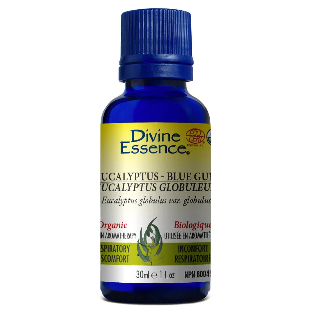 Huile essentielle d'eucalyptus et de gomme bleue biologique Divine Essence